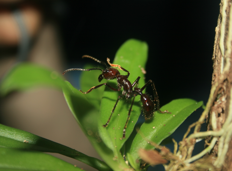 Work-Packages_Billiboard-d9-ant-Andrew-Bladon-1620x1080